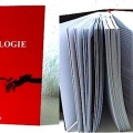 Kinesiologie - das Buch
